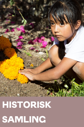 Bannerfoto Ddl.B Historisk Samling